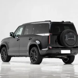 Polestones JiShi ADAMAS rear three-quarter view