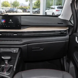 Livan X3 PRO 2024 1.5L CVT Xiao Sa center console
